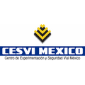 Cesvi mexico.png
